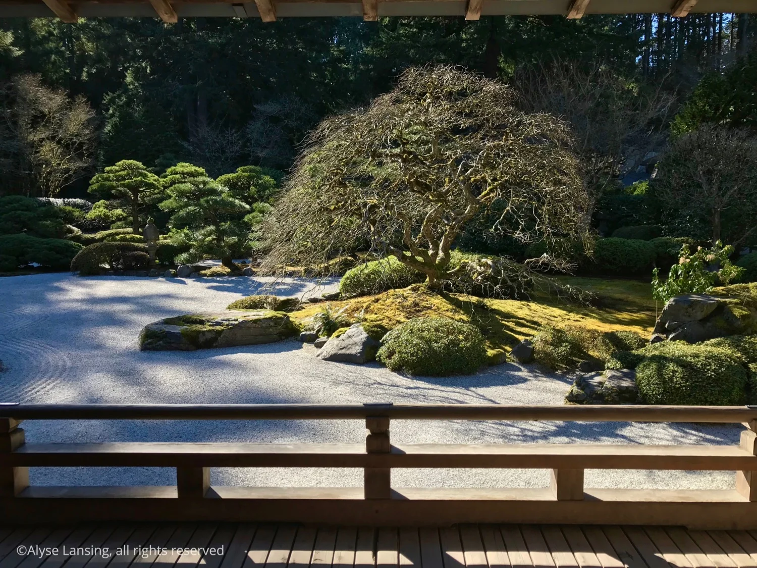 Quick Trip, Japanese Garden — Alyse Lansing - Landscape Design